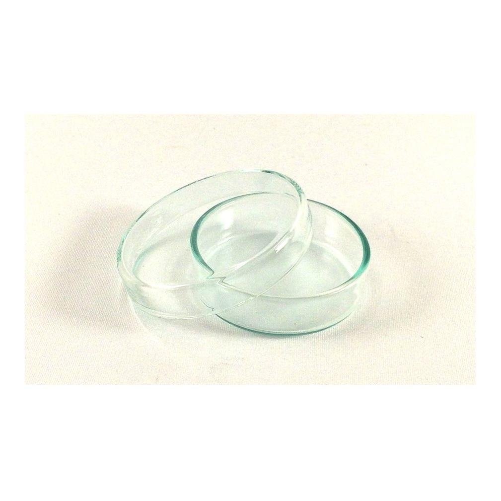 Petriskål glas – 60 x 15 mm silikat-/sodaglas