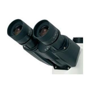 Okular mikrometer 10x 22 mm widefield för Oxion-serien